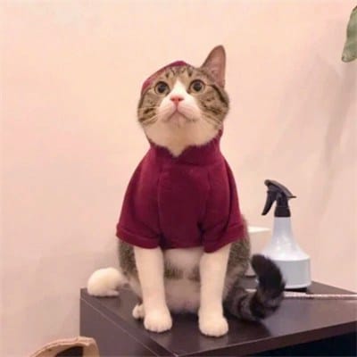 Nguyễn Công Phượng avatar